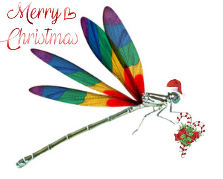 DestinationDF's tweet image. Merry Xmas to all of the fabulous women out there!! #Christmas #XmasFever #xmas #lesbianxmas #whereyoucanbeyou