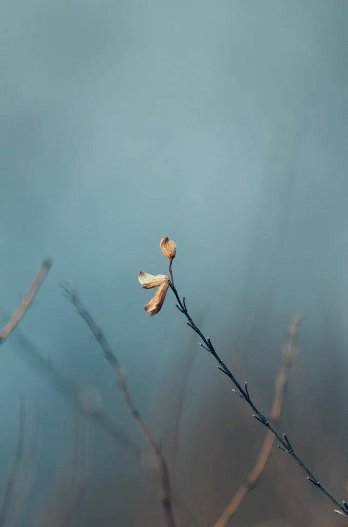 가난을 푸념하기전에
내가 게으르고
나태하지는 않은지 생각해봐

외롭다고 생각하기전에
내가 누가 오기에 불편한
사람은 아닌지돌아봐

안된다 포기하기전에
내가 노력을 충분히 했는지 살펴봐

불행하다 불평하기 전에
내가 내삶에 최선을 다하고 있는지 되짚어봐