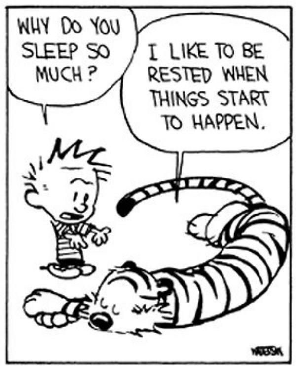 Calvinn_Hobbes's tweet photo. Exactly how my Sunday’s go. https://t.co/m3stf6rN21