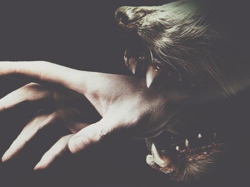 TvmovieEdits's tweet photo. HEMLOCK GROVE
#RomanGodfrey #PeterRumancek #Letha #OliviaGodfrey #DrPryce #Shelly #Norman #Lynda https://t.co/YbKxrJf8OC