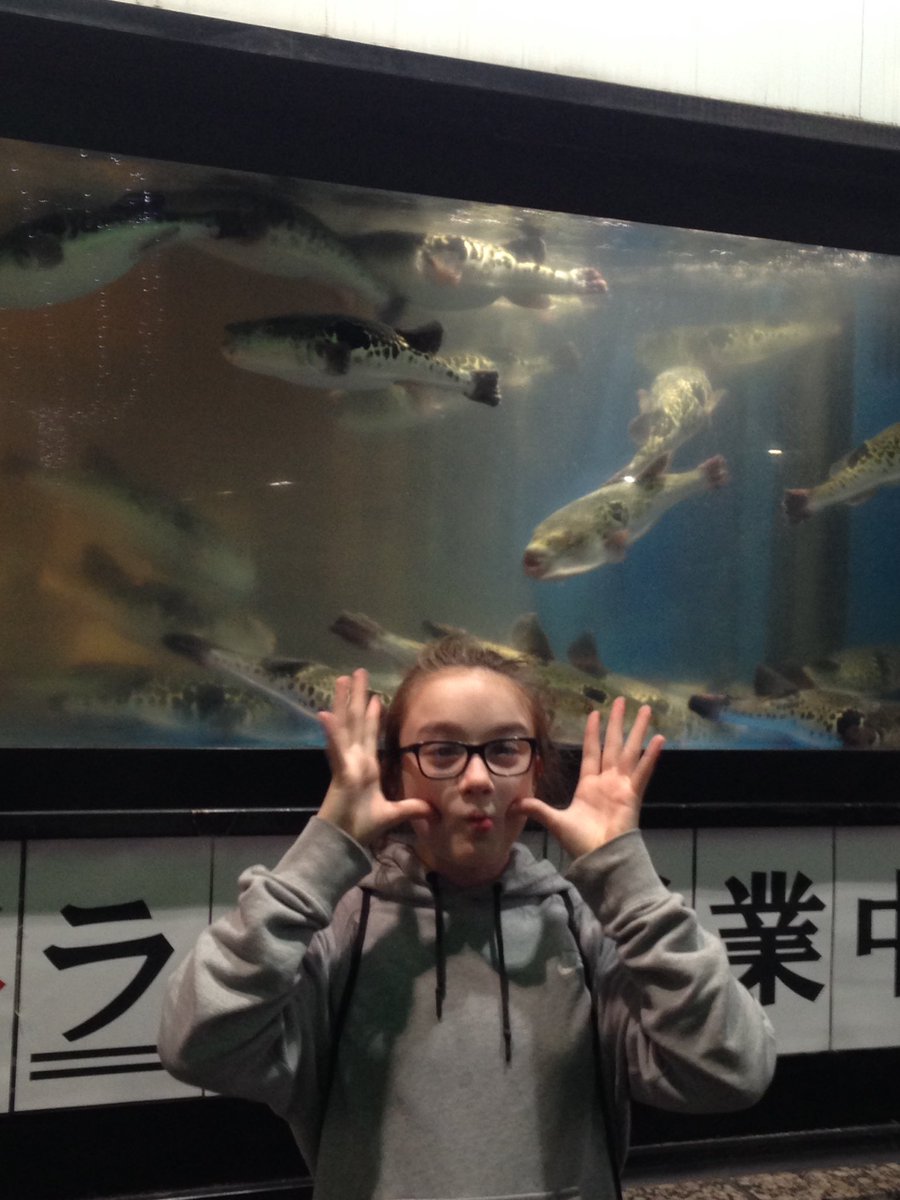 andymac4's tweet photo. Our very own Fugu....Puffer fish 🐟 Shinjuku fun! https://t.co/x7qszlG4Ce