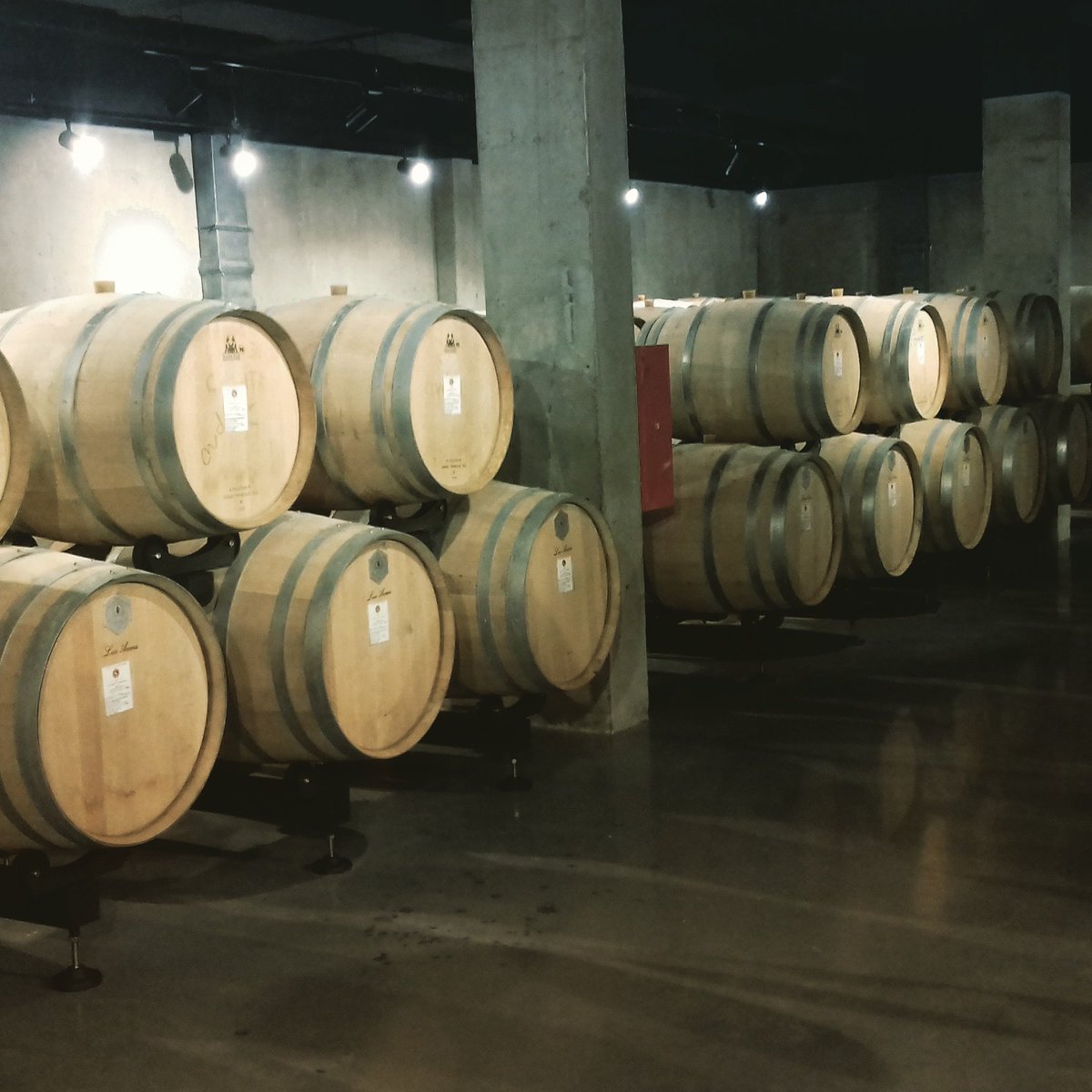 RussellStevenn's tweet image. Балаклава)