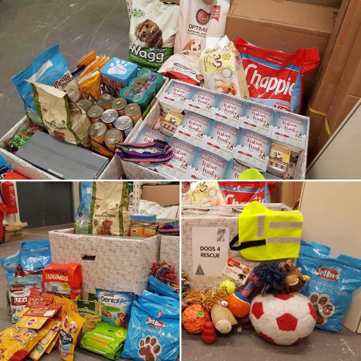 Dogs4Rescue's tweet photo. It really does mean the world to us when the community helps us out like this. If anyone would like to our amazon wishlist is here https://t.co/nZY8FTpUhx #Manchester #lovemanchester #IamManchester  #dogs #dogsarefamily #adoptdontshop #fundraising #grateful https://t.co/gSFaBA35KU