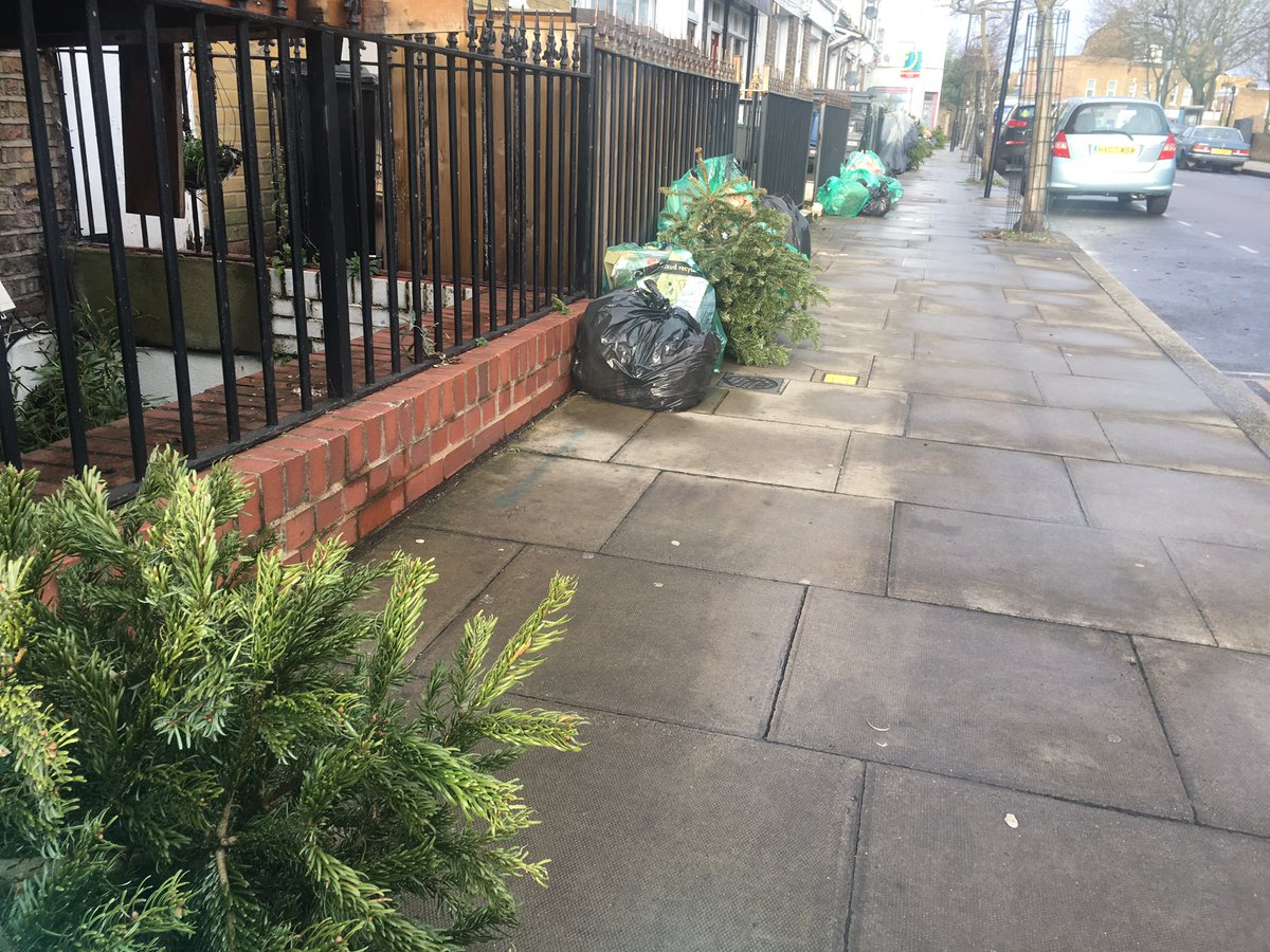 Lydia Cowpertwait tweet media