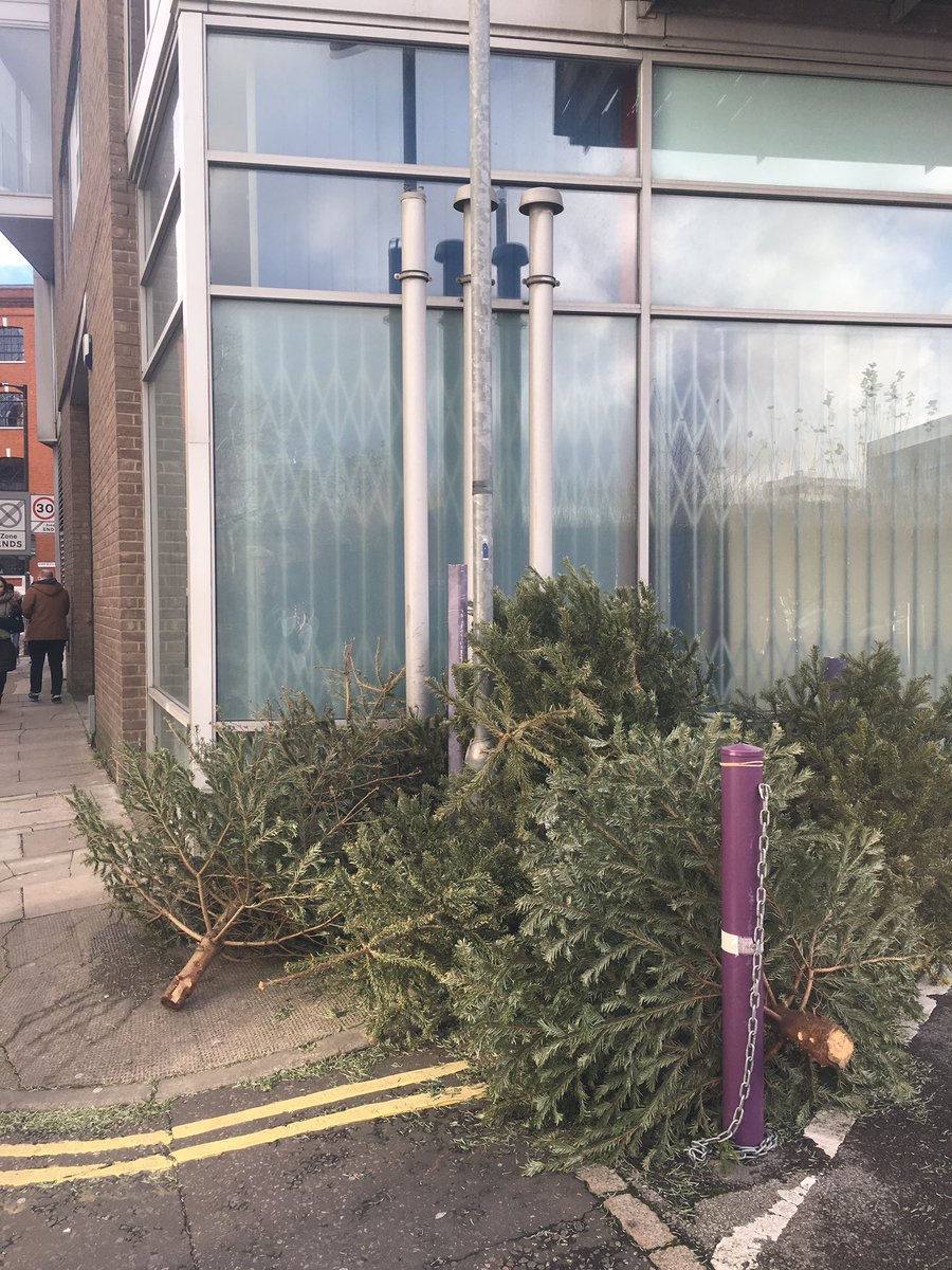 Lydia Cowpertwait tweet media