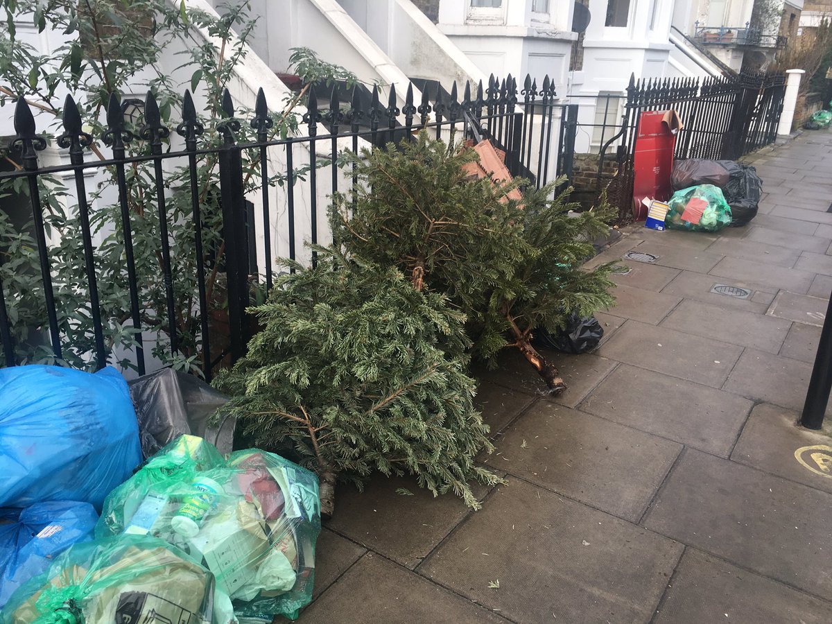 Lydia Cowpertwait tweet media