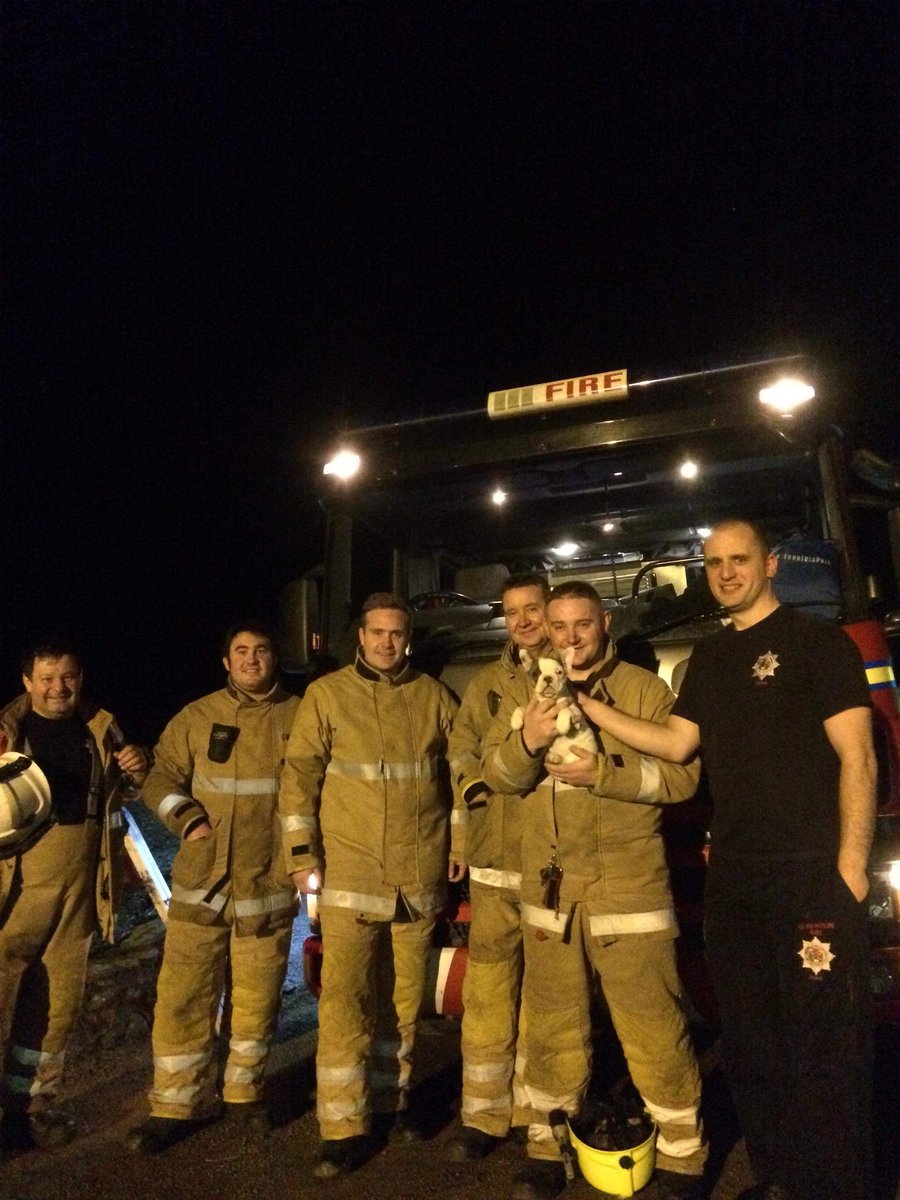 DunsFire's tweet photo. J26P6 attended a chimney fire tonight ....... afterwards we got to meet this little beauty and she almost came home with us 😏😁 @fire_scot #frenchbulldog #weecracker https://t.co/vUrc7VRcUu