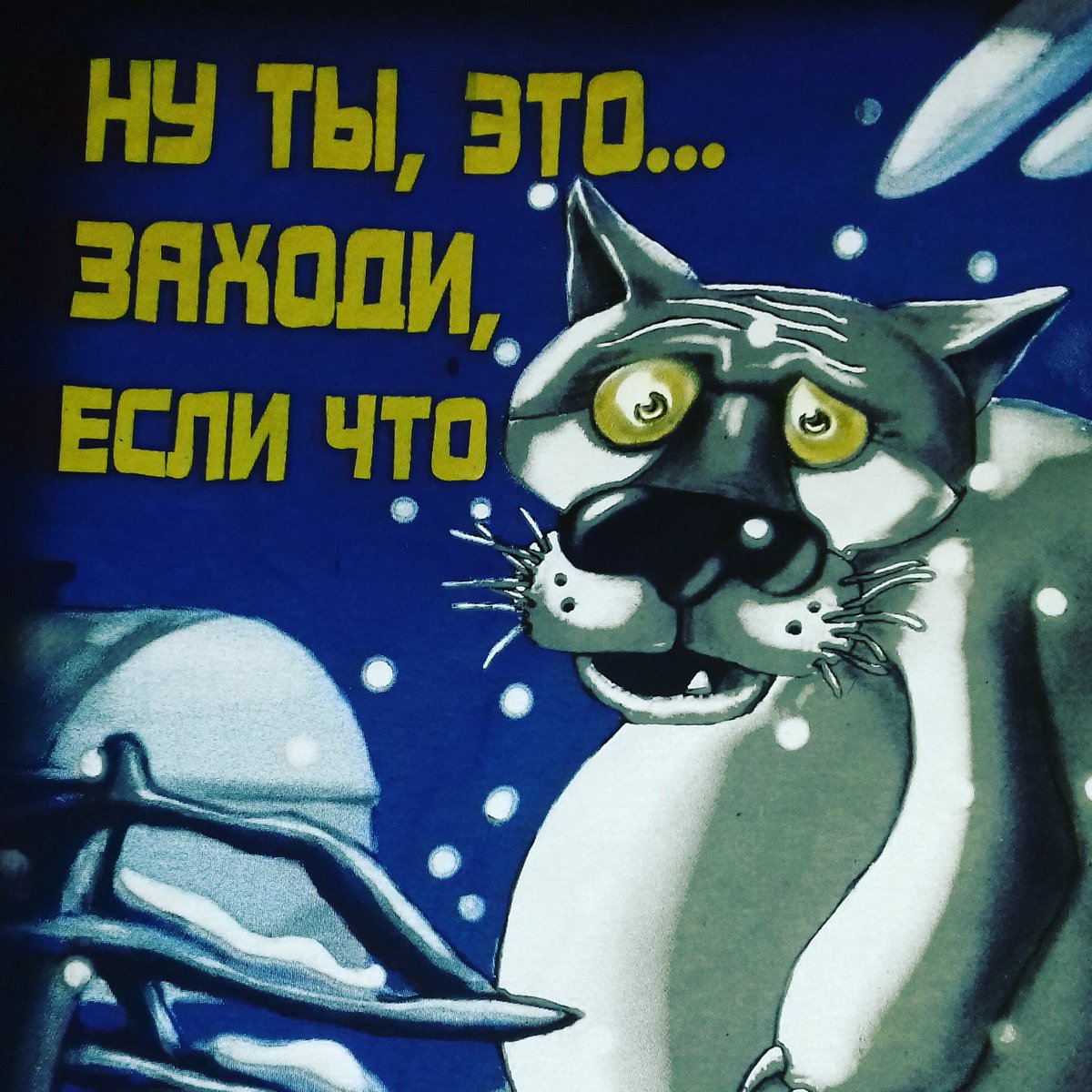 RussellStevenn's tweet image. Футболка