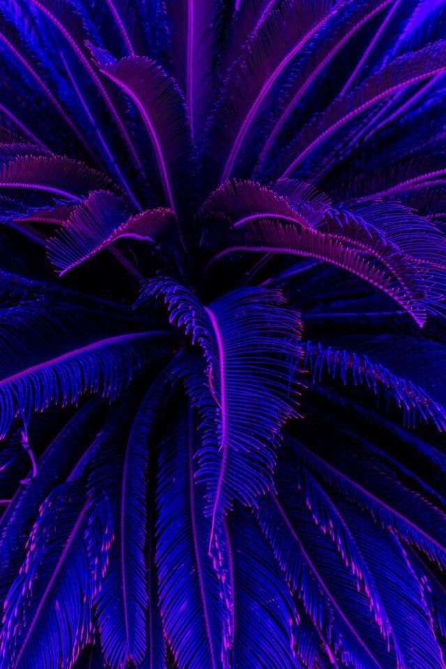 allnaturee's tweet photo. cool colours https://t.co/qq2fReTmsV