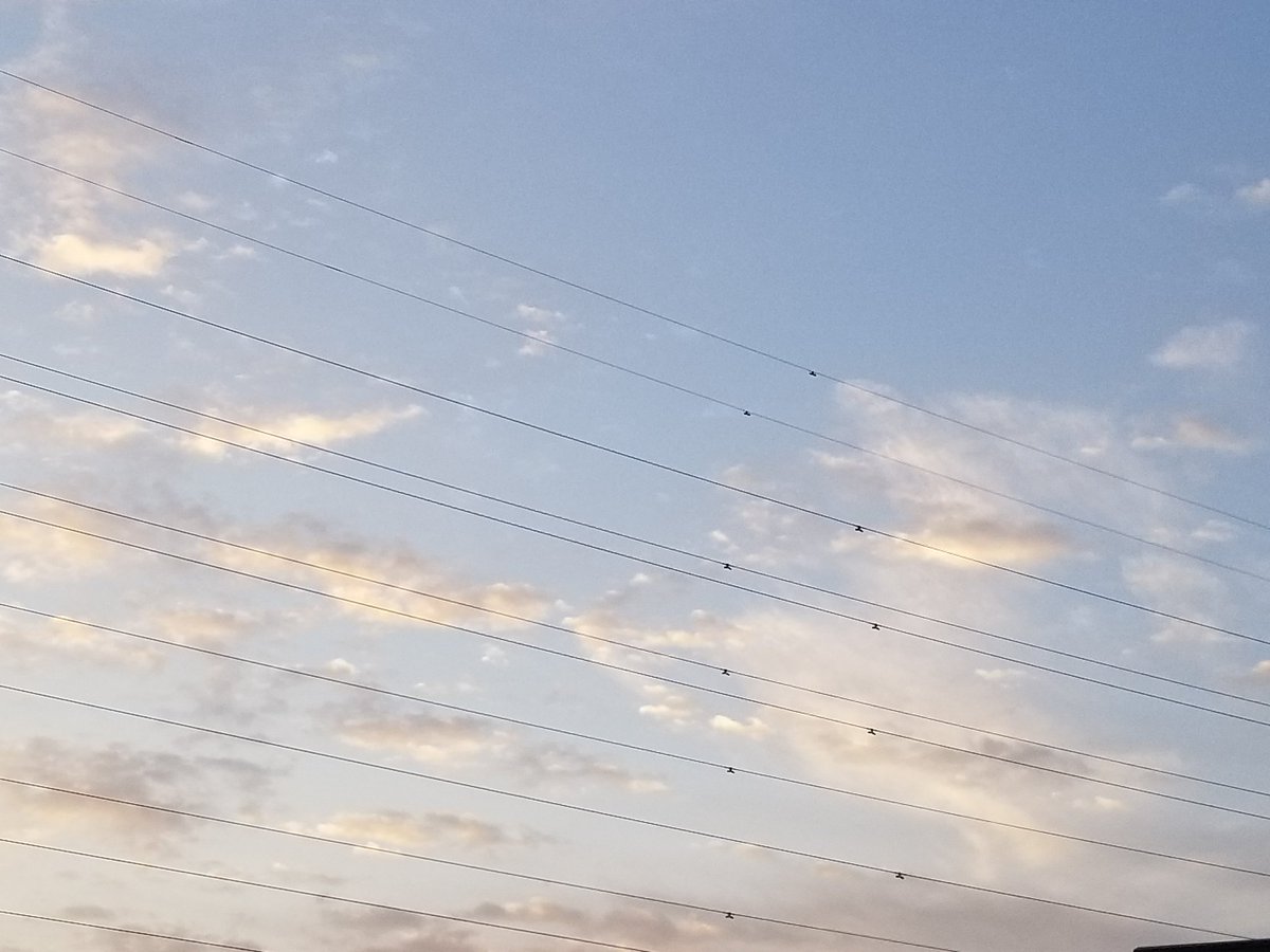 araki95hk's tweet photo. イマソラ。青空。東京は、曇り一時雨、10度。

今日は天気下り坂。段々雲が厚くなって昼過ぎ以降、雨が降り出します。帰り道のために折りたたみ傘があると安心。夜は雨風が強まるので早めの帰宅が安心です。

おはようございます。
今日は、おやすみです。
この世の不幸な方が幸せになります様に。 https://t.co/I1LbZXrehy