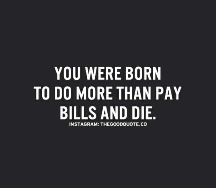 Veggiehowtocook tweet media