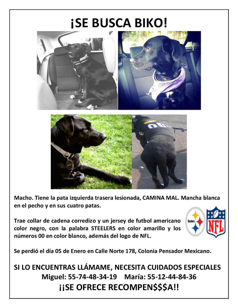 looomarie's tweet photo. Amigos, ayuda par compartir! Aún no sabemos nada de Biko. GRACIAS!!! https://t.co/6XmJlPwn43