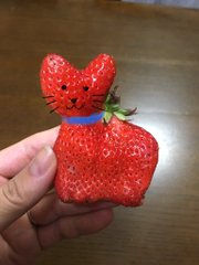 昨日食べたイチゴがネコっぽかったから顔描いてみた 猫にそっくりな 猫イチゴ が衝撃のかわいさ ねとらぼ
