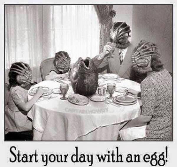 simonnash1980's tweet photo. I never really manage breakfast but if I did...😝 Think I may just stick to #coffee rather than the #AlienFaceHugger offering ⚠️ https://t.co/eg9sBmpQAa
