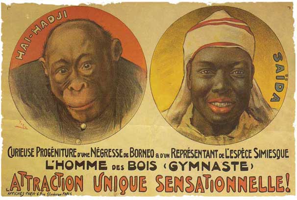 Affiche de spectacle du début 20ème intitulée L'homme des bois (Gymnastique) Deux visages sont représentés dans  des cercles colorés : un orang outang nommé Hai Hadji et in homme noir nommé Saïda