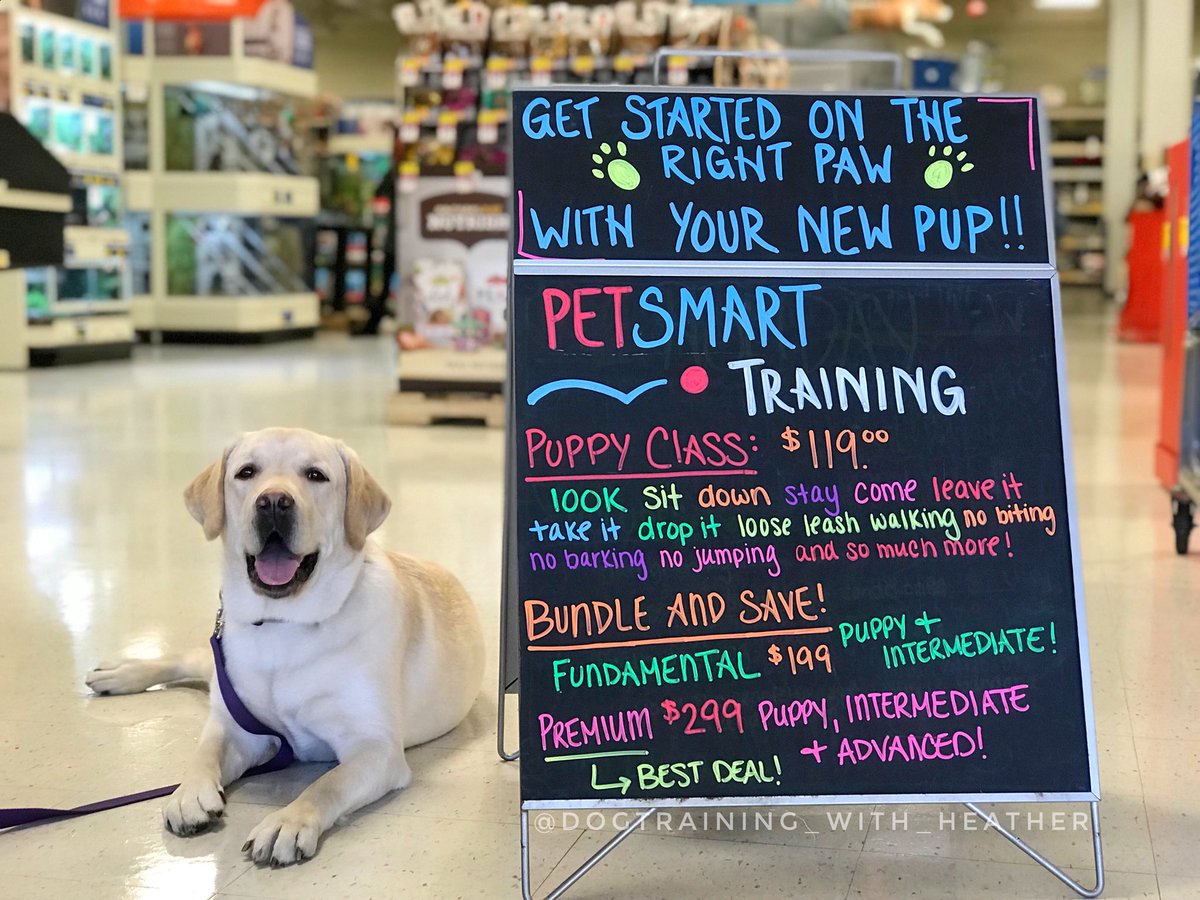 petsmart dog training