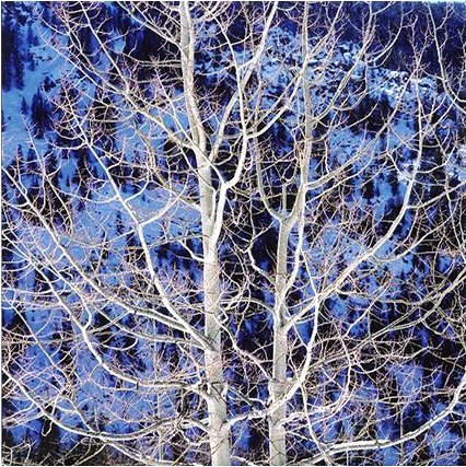 jpcaponigro's tweet photo. Christopher Burkett has a conversation with John Paul Caponigro! Read it here
.
.
https://t.co/jAqyAdx9SB
.
.
#illuminatingcreativity #johnpaulcaponigro #ChristopherBurkett #photography #photo #photos #landscape #landscapelovers #landscapephotography #interviews #conversations https://t.co/gcIJOvxPa2