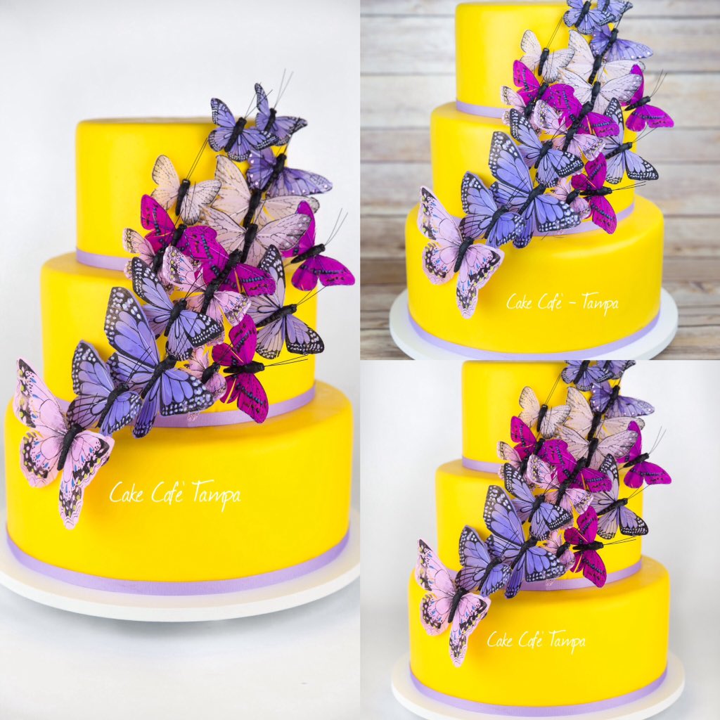 Beautiful butterfly cake