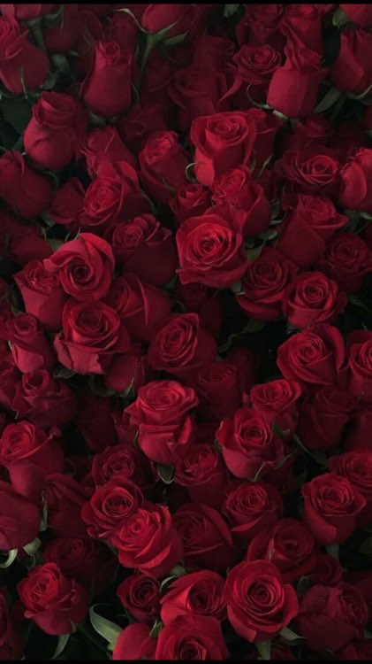 ❝p l e a ѕ e,
 т a ĸ e  c a r e  o ғ  y o υ r ѕ e l ғ. . .❞

࿓ oc
🥀
࿓ deтaιled and welcoмιng тo all
🥀
࿓ (n)ѕғw
🥀
࿓ pleaѕe вe ĸιnd and rт