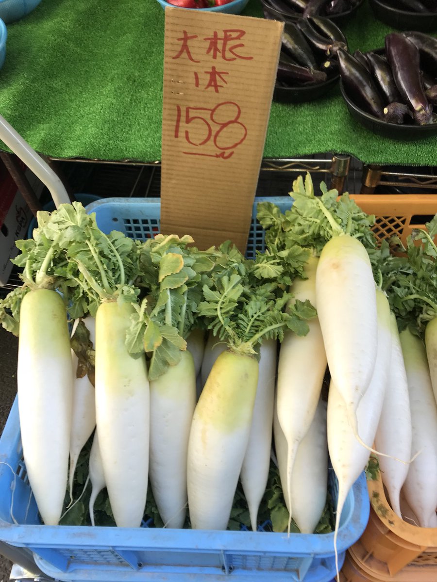 八百七 Yaoshichi Pa Twitter 大根一本158円 なす一山450円 紅心大根一山0円 白菜一本350円 紅心大根はサラダにもどうぞ 墨田区 東向島 八百屋 八百七 激安 紅心大根 白菜 大根 なす