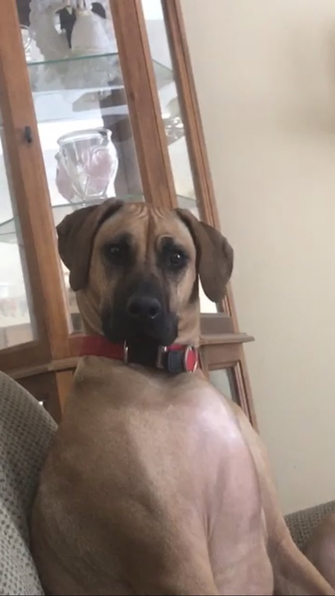 When you’re sitting in your robe on the couch after a nice warm bath and the doorbell rings