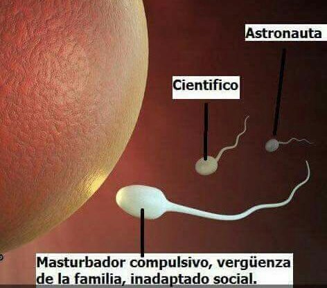 Isi_igna21's tweet photo. No siempre gana el más inteligente... https://t.co/gbQftKwwlH