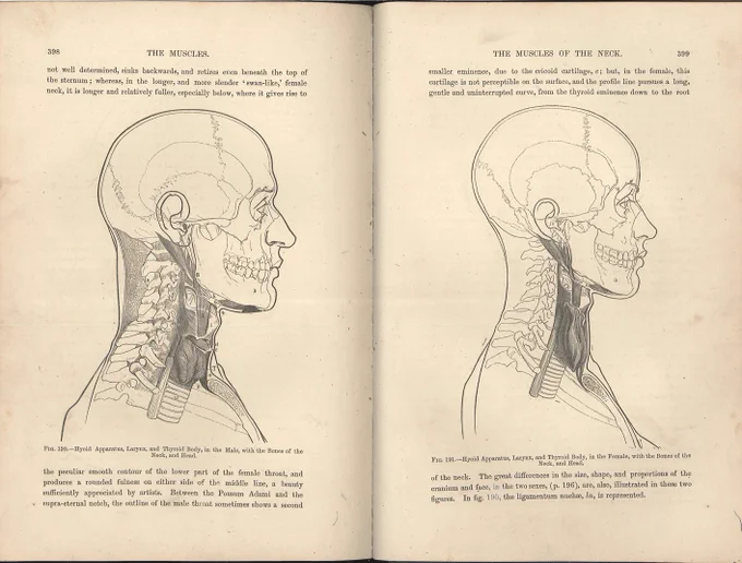 ジョン・マーシャル『美術解剖学』(1878)。ポール・リシェが教科書執筆の際に参考にした書籍の1つ。個人的意見だが、リシェの図版に直接影響を与えたのは本書ではないかと思っている。図版は、ジョン・カスバートが手がけた。#美術解剖学 