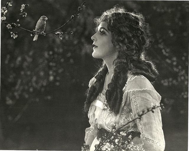 Mary Pickford on #NationalBirdDay.