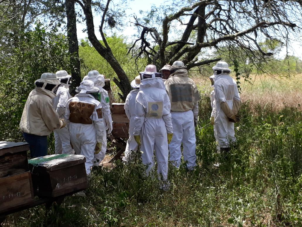 sosABEJAS's tweet photo. Exitosa jornada Cria de Reinas @cambiorural #abejas #Miel #INTA https://t.co/y0VMn5LrWM