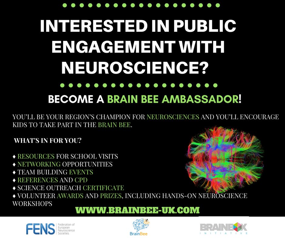 Are you looking for public engagement opportunities? Look no further and join the Brain Bee at brainbee-uk.com ! #neuroscience #publicengagement #BrainBee