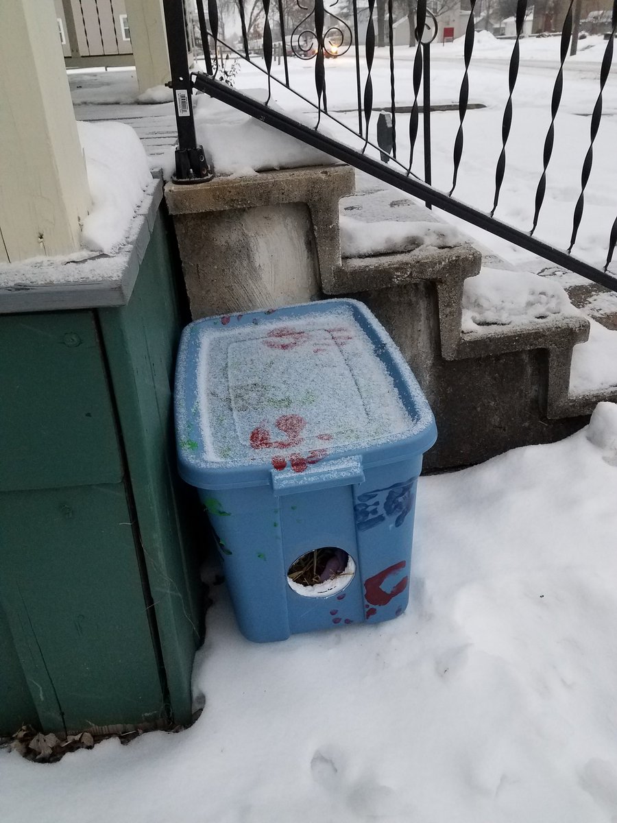 Vincent_Village's tweet photo. Our kids built this for our neighborhood kitty. 🏠🐺 #teachkindness https://t.co/iUbx2JwTRG