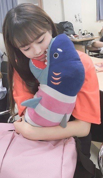 chuu pics ♥︎ H I A T U S tweet media