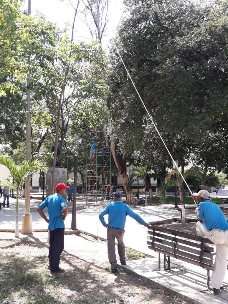 En el marco del Plan de Embellecimiento del Municipio Morán la Dirección de Servicios Públicos y Ornato, realizo mantenimiento y Poda en la Plaza Bolívar de El Tocuyo. #SomosSoluciones #SomosEsperanza <a href="/GiselaR_Moran/">MoranDeEsperanza</a> <a href="/gestionperfecta/">Carmen Meléndez</a>