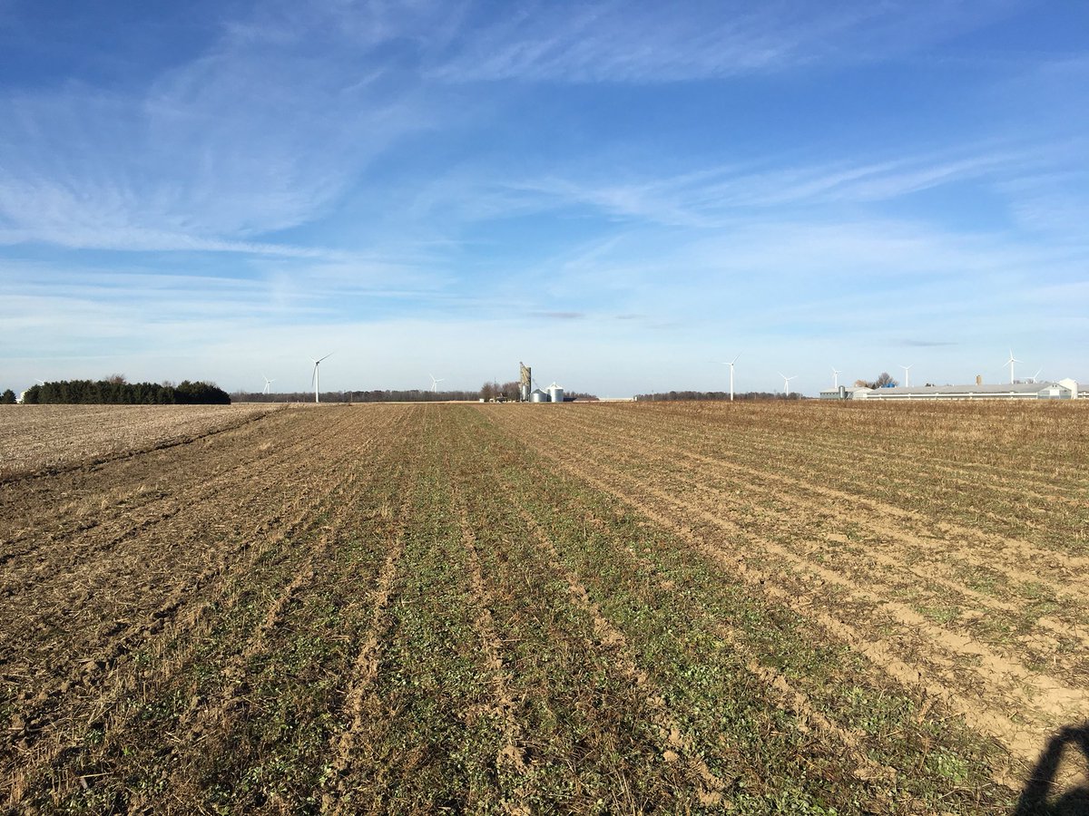 Been a while since a post, but here's the latest project. Building my own broiler barn this summer. Also have a few dairy barn projects and a 500 head organic sow barn in the works! 2018 sure won't be dull!