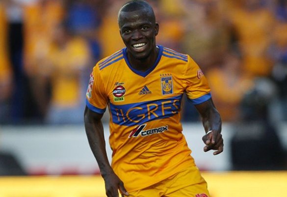 MXLaLiga's tweet photo. Impresionante 🇪🇨 @EnnerValencia14 

18 goles en 23 JJ con Tuzos
13 goles en 22 JJ con Tigres🔺

⚽️31 goles | 45 partidos #LigaMx #SienteTuLiga https://t.co/Nn574XZmxt