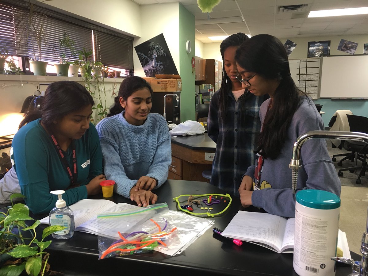mrsjenmar's tweet photo. Building models to explain cell signaling to each other. #CHSAPBio #CHSRise https://t.co/s5MrAbRI9L