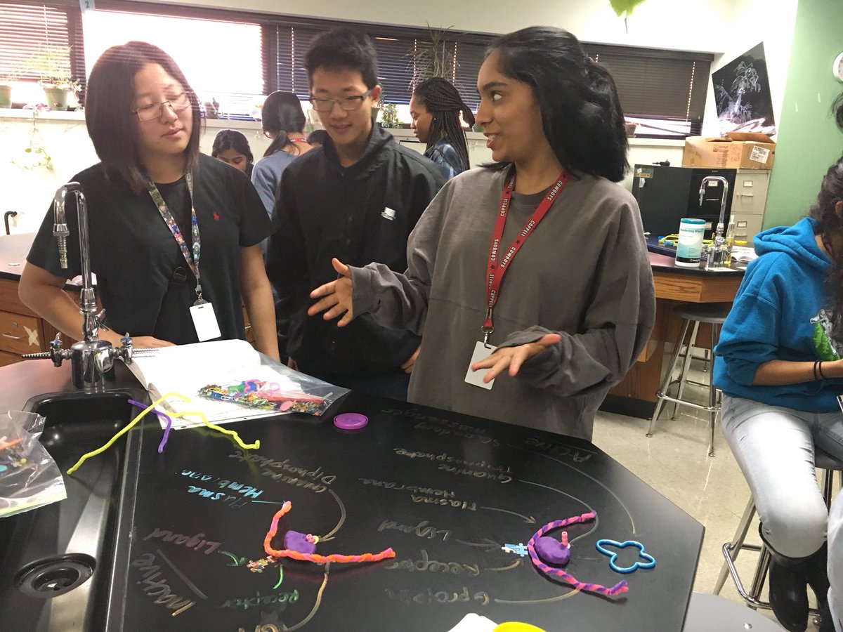 mrsjenmar's tweet photo. Building models to explain cell signaling to each other. #CHSAPBio #CHSRise https://t.co/s5MrAbRI9L
