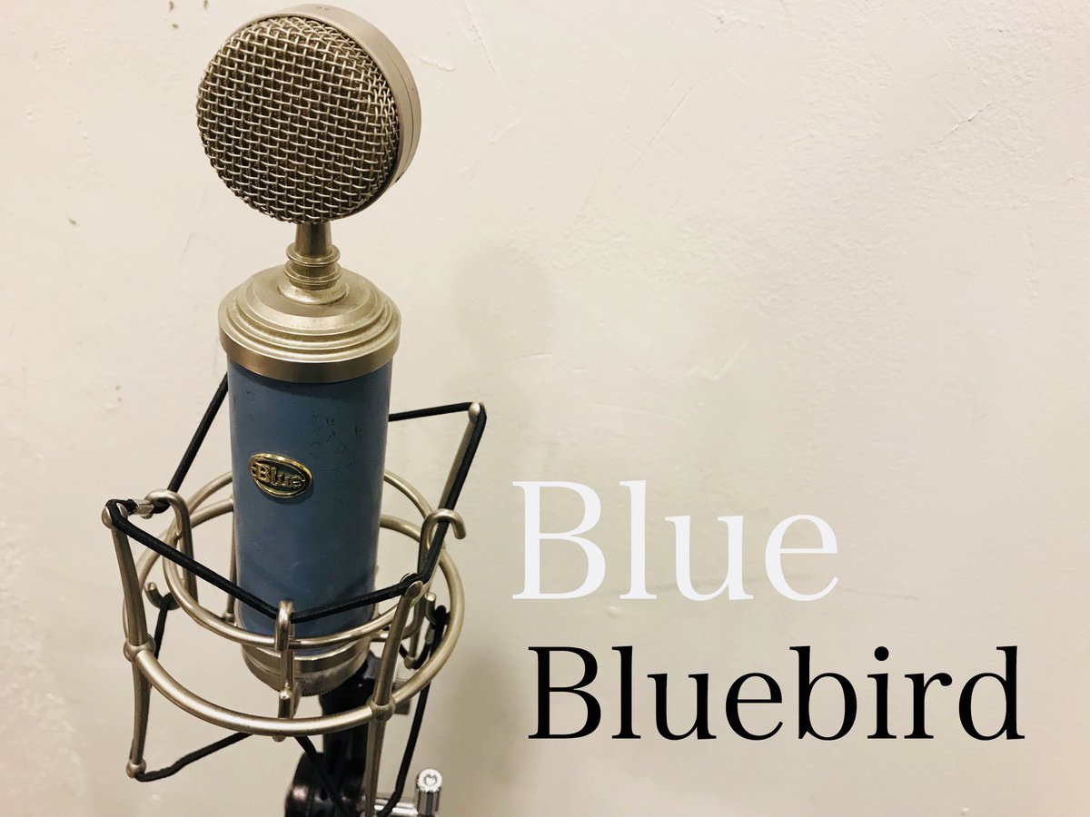 ট ইট র Sound Studio Noah 代々木店 Blueのコンデンサーマイク Bluebird をレンタルで取り扱っています 見た目も 可愛いですね ボーカルやギターなどにおすすめでクリアで厚みのある音が特徴的です Studionoah 機材情報 Blue Recording T Co