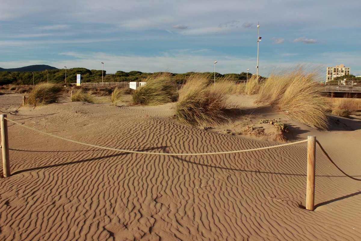 Long lasting effects of <a href="/OPERAsProject/">OPERAs</a> This is what happens when relating #NatureBasedSolutions and #EcosystemServices under an operational perspective; and with the sustained engagement of <a href="/sostAMB/">AMB Sostenibilitat</a>