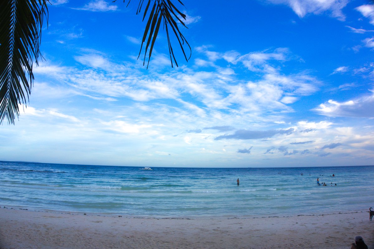 Bohol | Philippines

#beach #travel #travelph #wanderlust