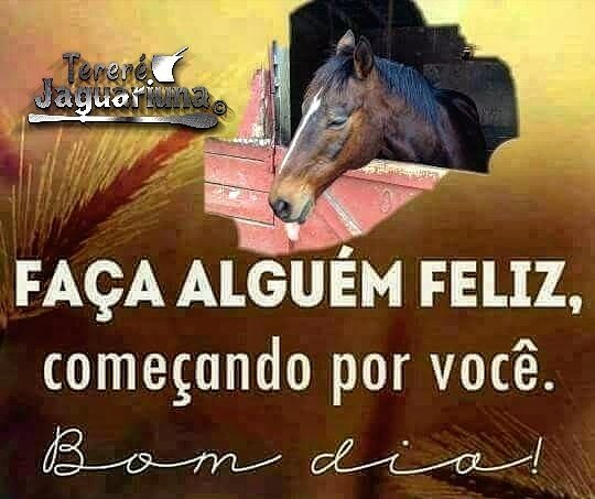 Caipiras19's tweet photo. Bom dia a todos e um ótimo final de semana 👏👏🙏🌵🌿 #CaipirasTropeiros #tererejaguariuna #caipiramemu #xucro https://t.co/AIxNAgZqXr