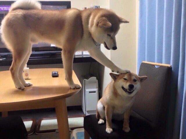 تويتر \ Jimmy Wong على تويتر: "@Charalanahzard The Goal Of My #Content Is  Always To Entertain"