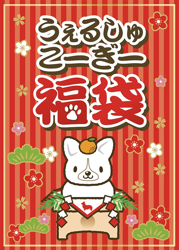 yanagiV's tweet photo. 通常、土曜日はお休みなのですが福袋発送の為スタッフ一同集結しております♪ご注文頂きました皆様もう少々お待ち下さいね！
（明日はお休みさせて頂きます！ごめんなさい。）
そしてコーギー福袋2018も残り数セットのみです。明日には終了となってしまうと思いますので宜しくお願いいたします！ https://t.co/GB1SteM7g7