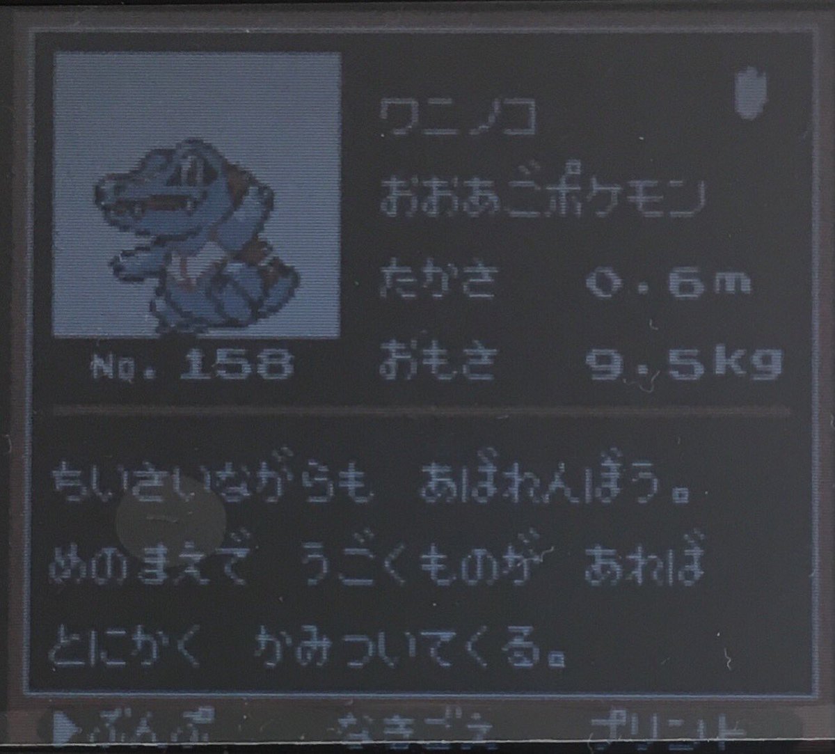 تويتر スラヨシ アンテ ポケダン空ネタバレしないでね على تويتر やっとラジオ聞けた オーキド博士のポケモン講座 コクーンは31番道路 コイルは39 T Co Ctqr7tnoug