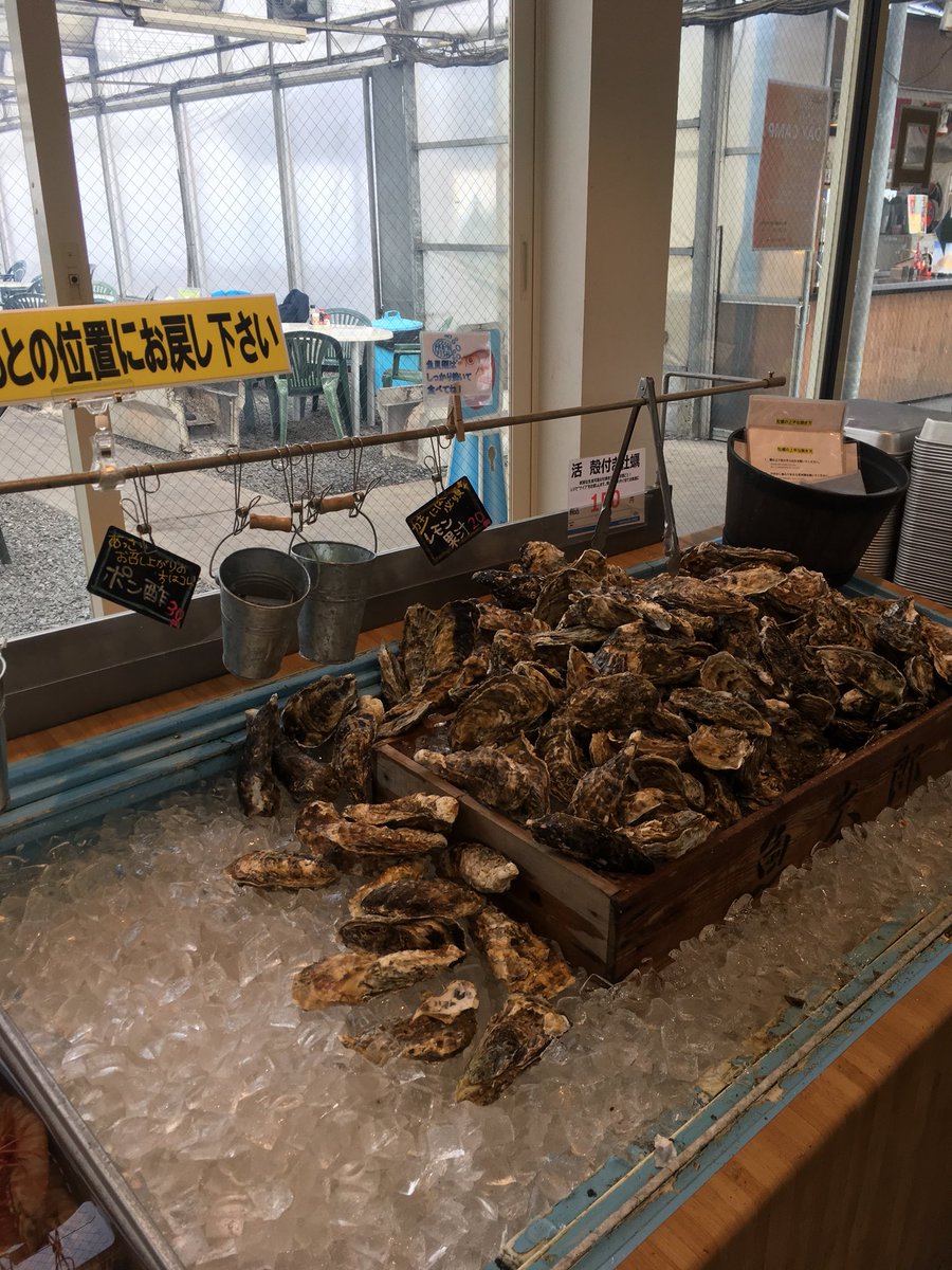 響 トレーダー 愛知県来るなら是非来て欲しい一押し 魚太郎の浜焼きバーベキュー 地元の海産物とか 好きな物を取って来て海見ながら自由にバーベキュー楽しめる オフ会にも最高や