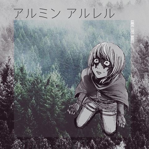 → ARMIN ARLERT // CANON VERSE.
→ DARK THEMES // PG-13+.
→ 4 YEARS EXP // MID NOVELLA. 

       "I hope we’ll get along splendidly!” 

            — rt or like!! follow backs 
             are common. 

#snkrp #aotrp #snkarmin #rp