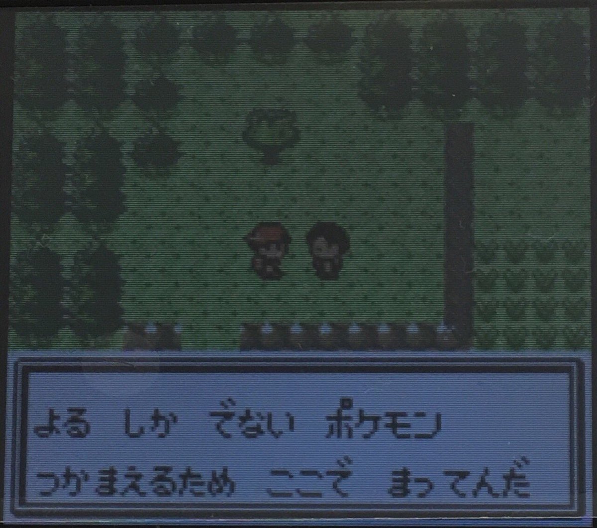 تويتر スラヨシ アンテ ポケダン空ネタバレしないでね على تويتر やっとラジオ聞けた オーキド博士のポケモン講座 コクーンは31番道路 コイルは39 T Co Ctqr7tnoug