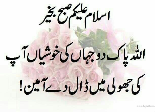 Jacobjaved41 tweet picture