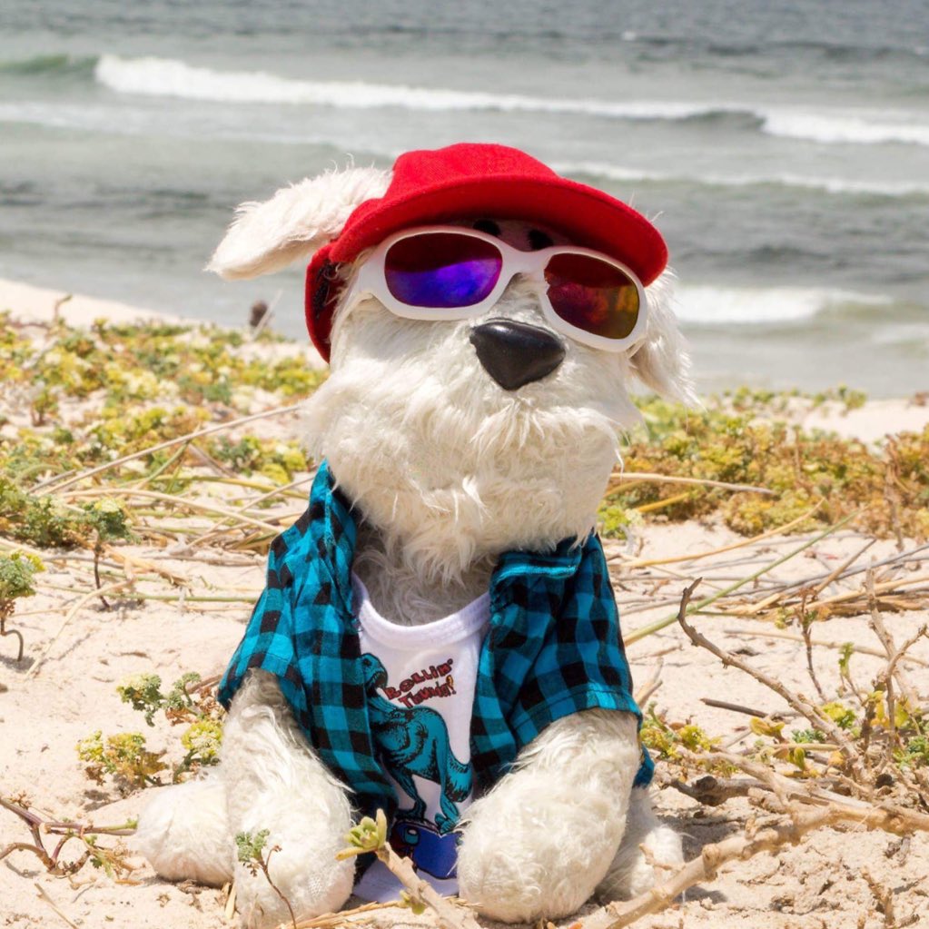 MonkeysBrother's tweet photo. #NewProfilePic https://t.co/cH3l86w3J5