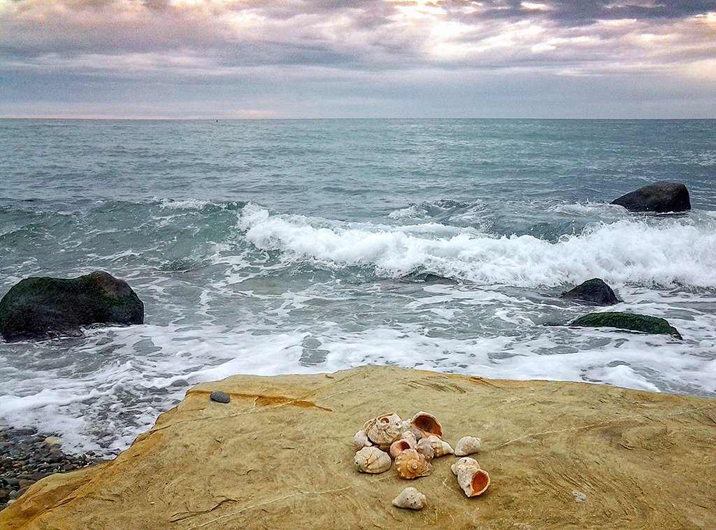 Marissobelle's tweet photo. Море прекрасно в любое время года. Умиротворяет. Приятно смотреть вдаль, за горизонт. Мысли отдыхают.  #сочи #черноеморе #путешествие #морскойпейзаж #море #зима #зимавсочи #морскойберег #горизонт #sochi #blacksea #travel #seascape #sea #seashells #winterinsochi #coast #horizon https://t.co/ZW1sW0LVaL
